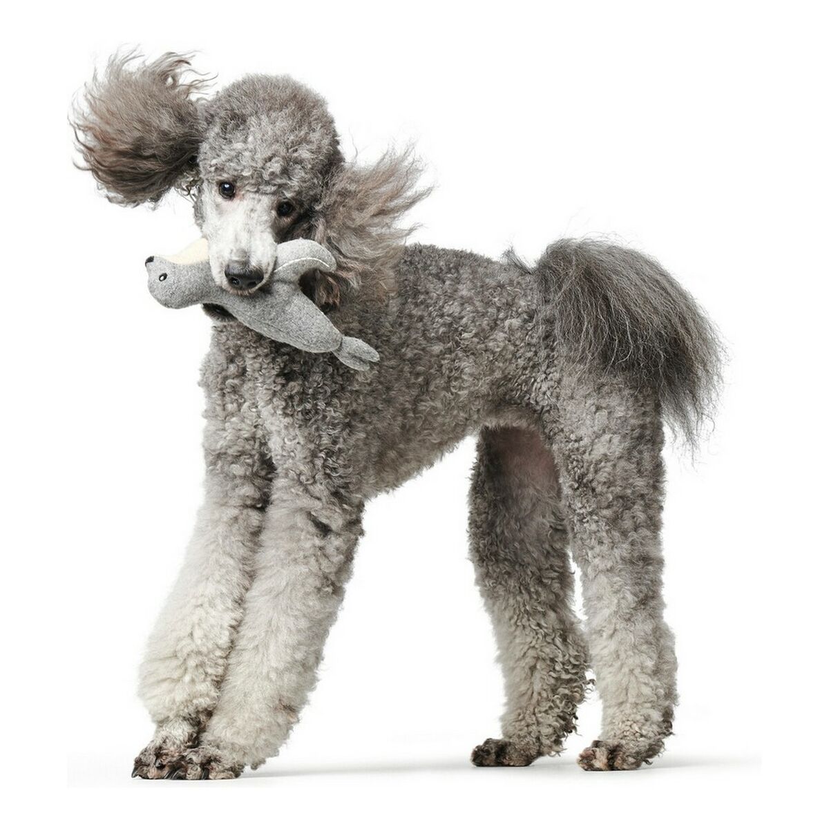 Jouet pour chien en peluche Hunter Skagen Gris Polyester Bison